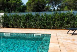 MOSAIQUE PISCINE TUNISIE